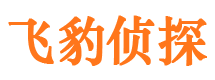 沧州捉小三公司